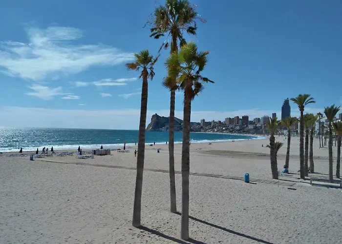 Sunset Drive Paradise - Benidorm